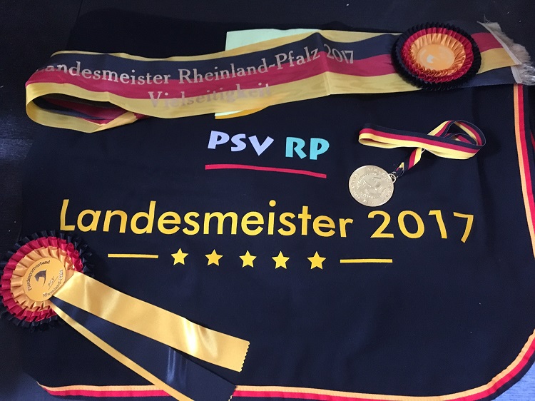 Landesmeister Vielseitigkeit