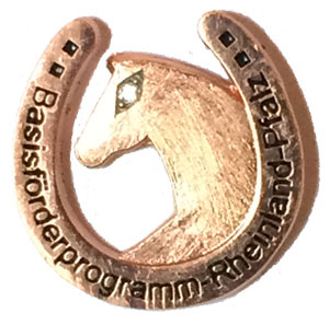 Pin_kl