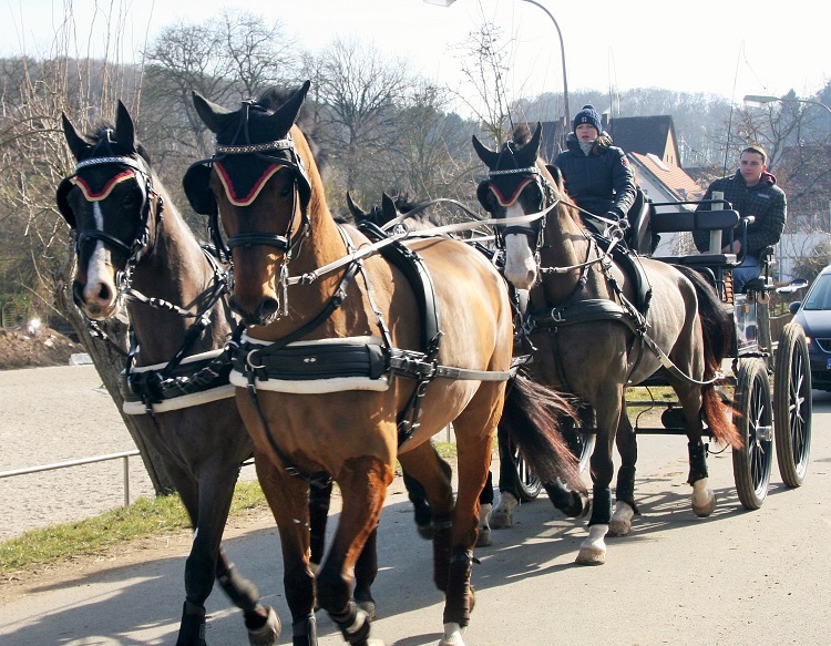 Mitgliederversammlung des Förder-Kreis Fahren Rheinland-Pfalz 2019 in Herchenrode/Hessen