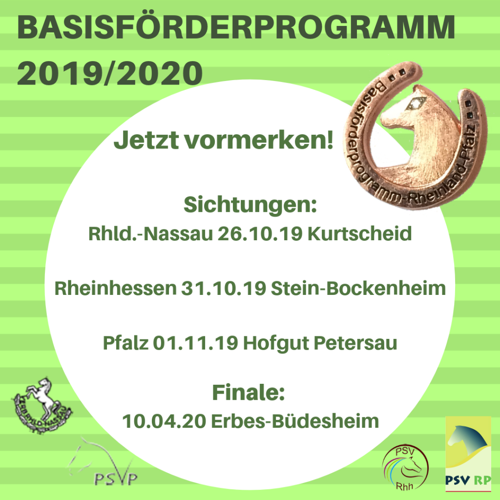 Basisförderprogramm 2019/2020 - Jetzt bewerben!