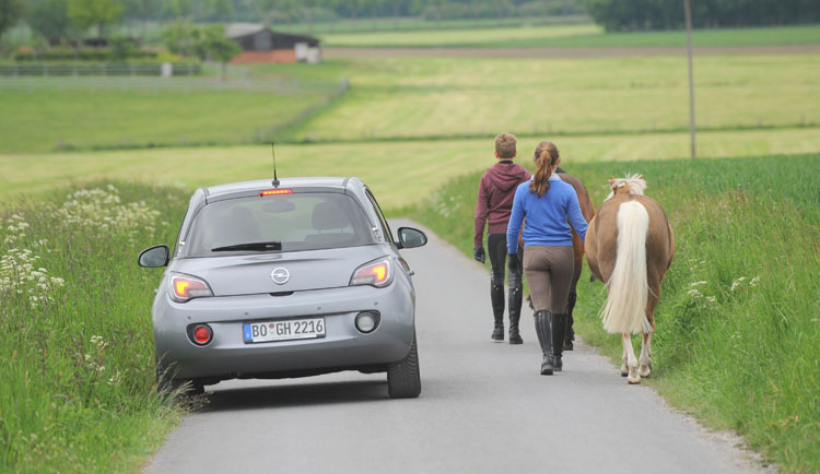 APO 2020 Pferdeführerschein - Fortbildung für Ausbilder