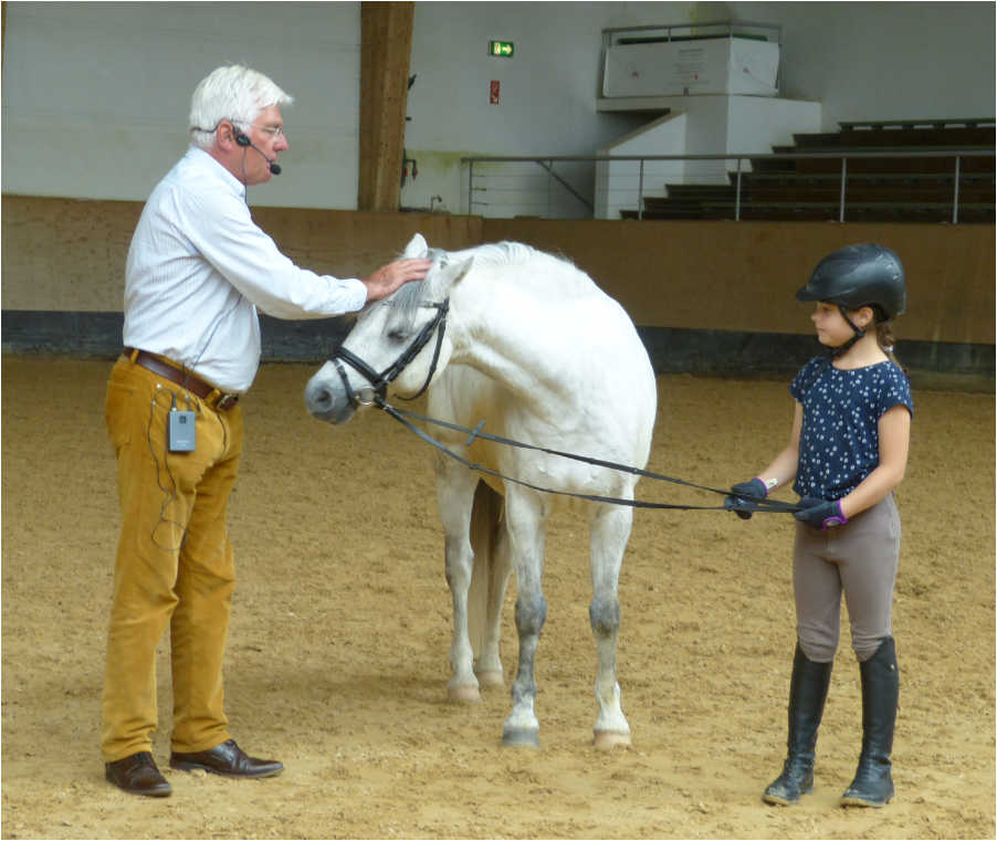 Die klassische Reitlehre mit der Natur des Pferdes erklärt – mit Martin Plewa