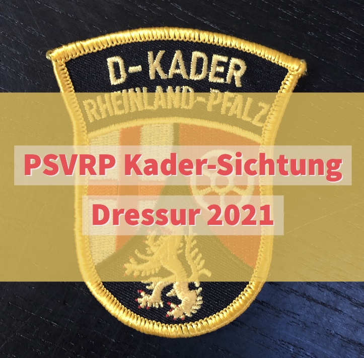 Kadersichtung Dressur D-Kader Rheinland-Pfalz 2021