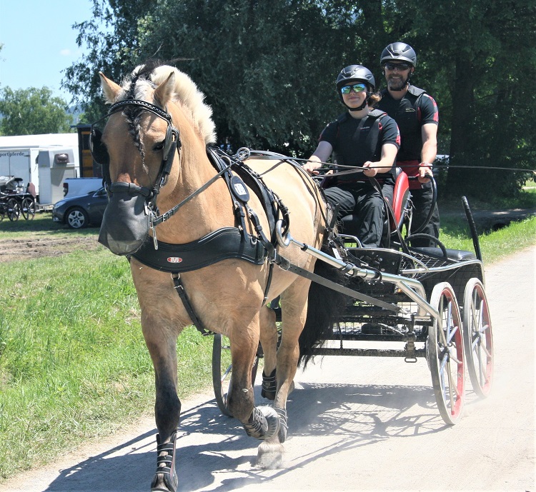 Fahrer aus RLP erfolgreich unterwegs