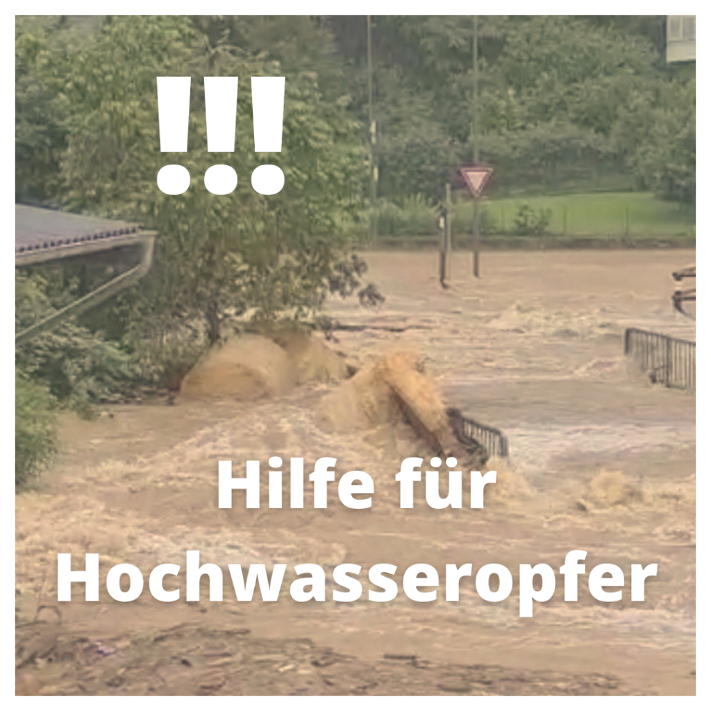Überschwemmungen in Rheinland-Pfalz - Hilfe für betroffene Pferdehalter