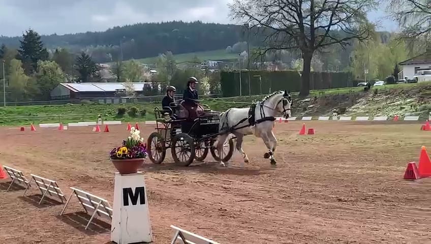 Fahren: erfolgreicher Turnier-Auftakt in Wettringen und Erbach/Odw.