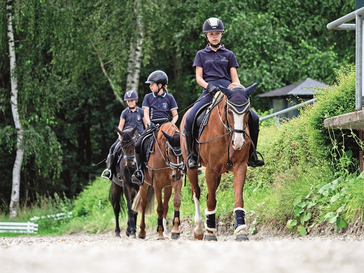 Schulpferde-Initiative: PM-Schulpferdeturniere präsentiert von HKM Sports Equipment und Schulpferde-Champions präsentiert von Effol - jetzt für Förderprojekte bewerben!