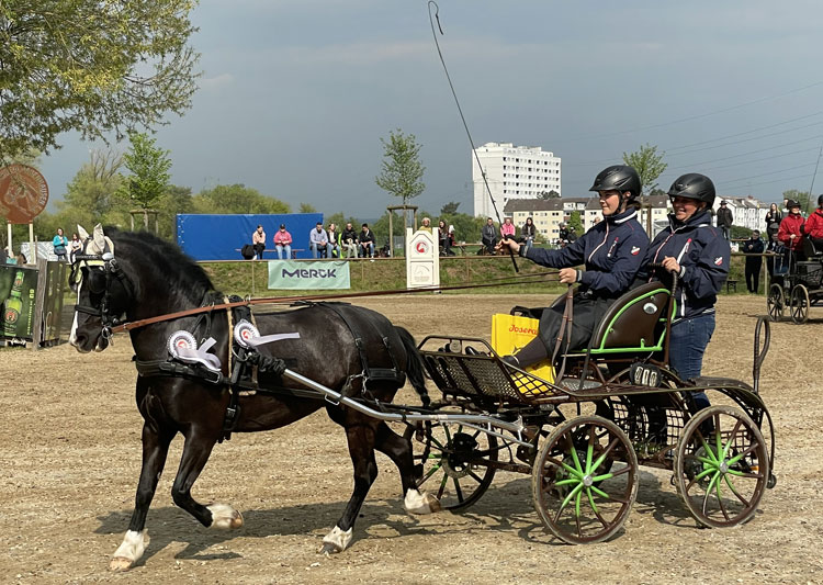 Fahrsportler platzieren sich in Babenhausen und Worms