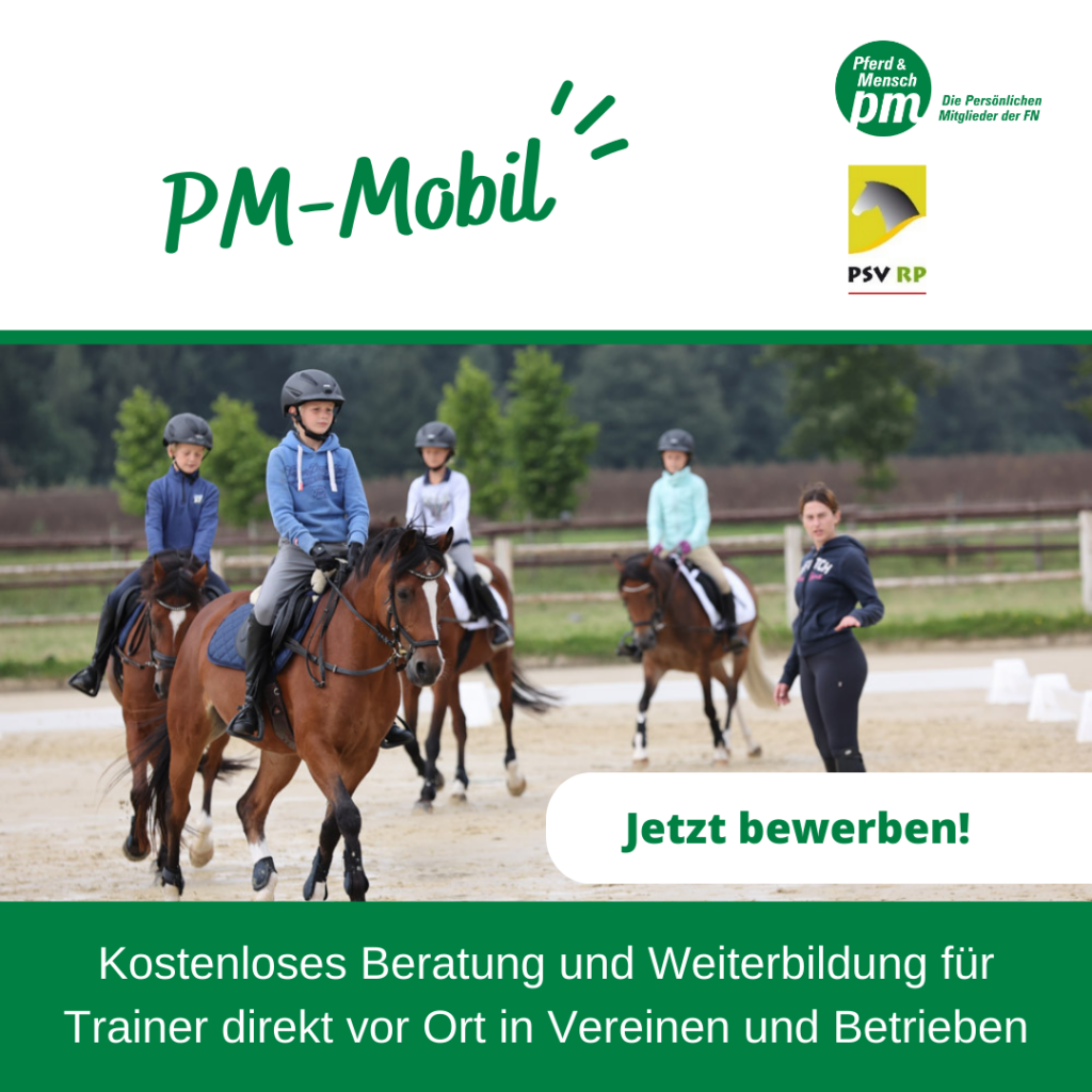 PM-Mobil: Kostenlose Beratung und Weiterbildung für Ausbilder im Pferdesport