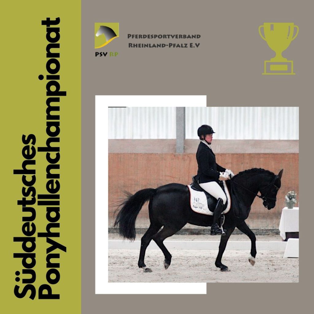 Süddeutsches Ponyhallenchampionat