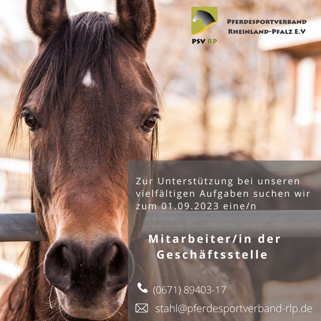 Verstärkung gesucht