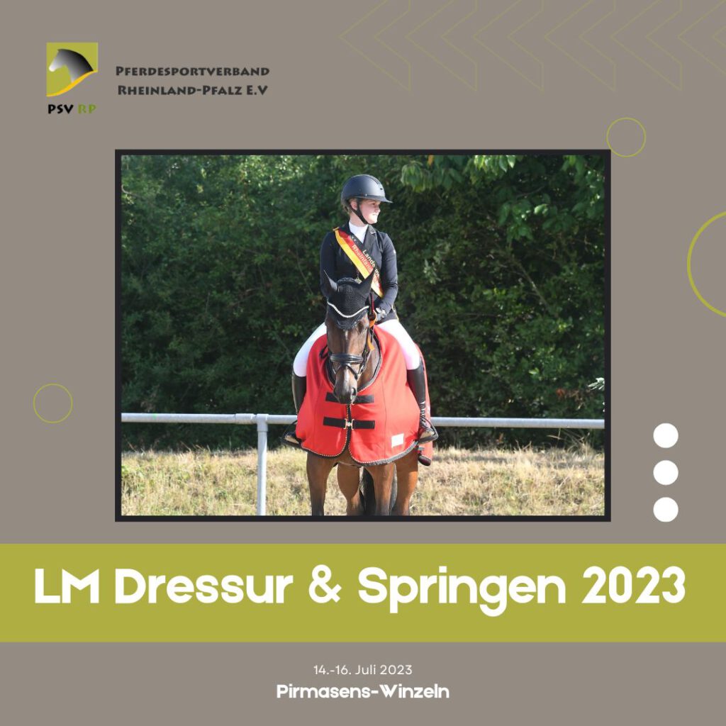 Neue Meister in Dressur und Springen