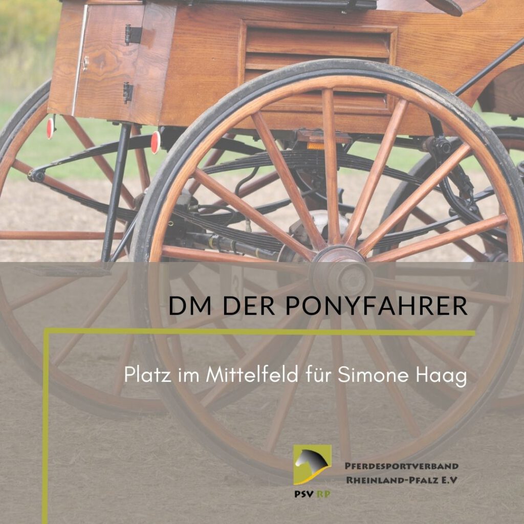Deutsche Meisterschaft der Ponyfahrer