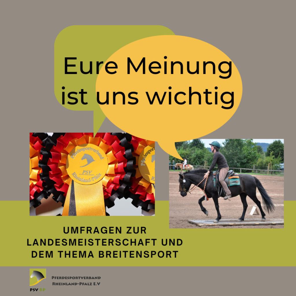 Ihr seid gefragt: Umfragen zur Landesmeisterschaft und zum Breitensport