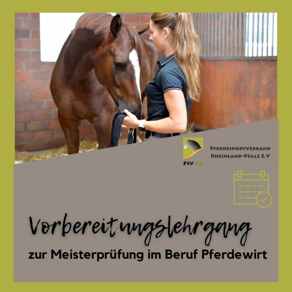 Vorbereitungslehrgang zur Meisterprüfung im Beruf Pferdewirt