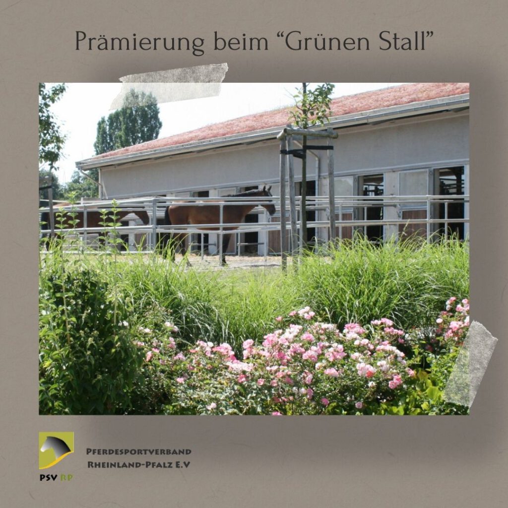 RFV Billigheim beim Projekt 