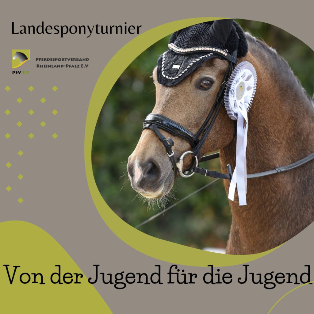 Gelungenes Landesponyturnier