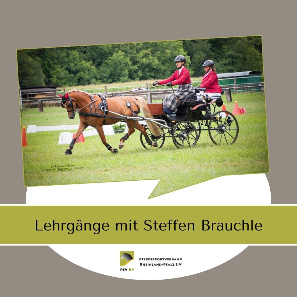 Fahr-Lehrgänge mit Steffen Brauchle