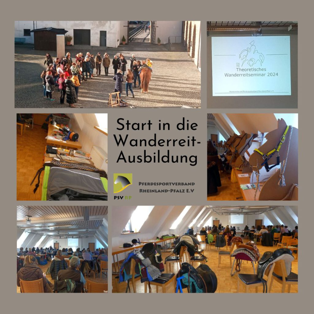 Start in die Wanderreit-Ausbildung