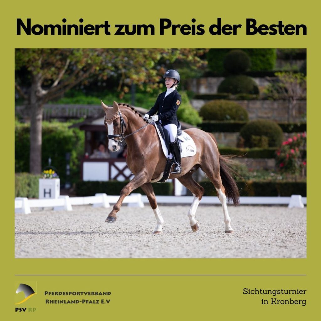 Nominiert zum Preis der Besten