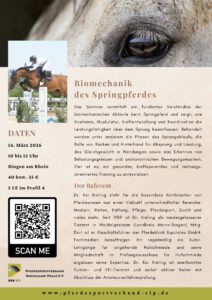 Biomechanik des Springpferdes