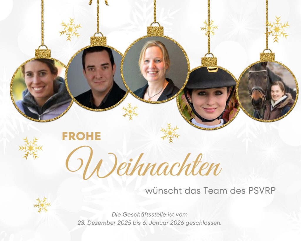 Weihnachtsgrüße2026_1