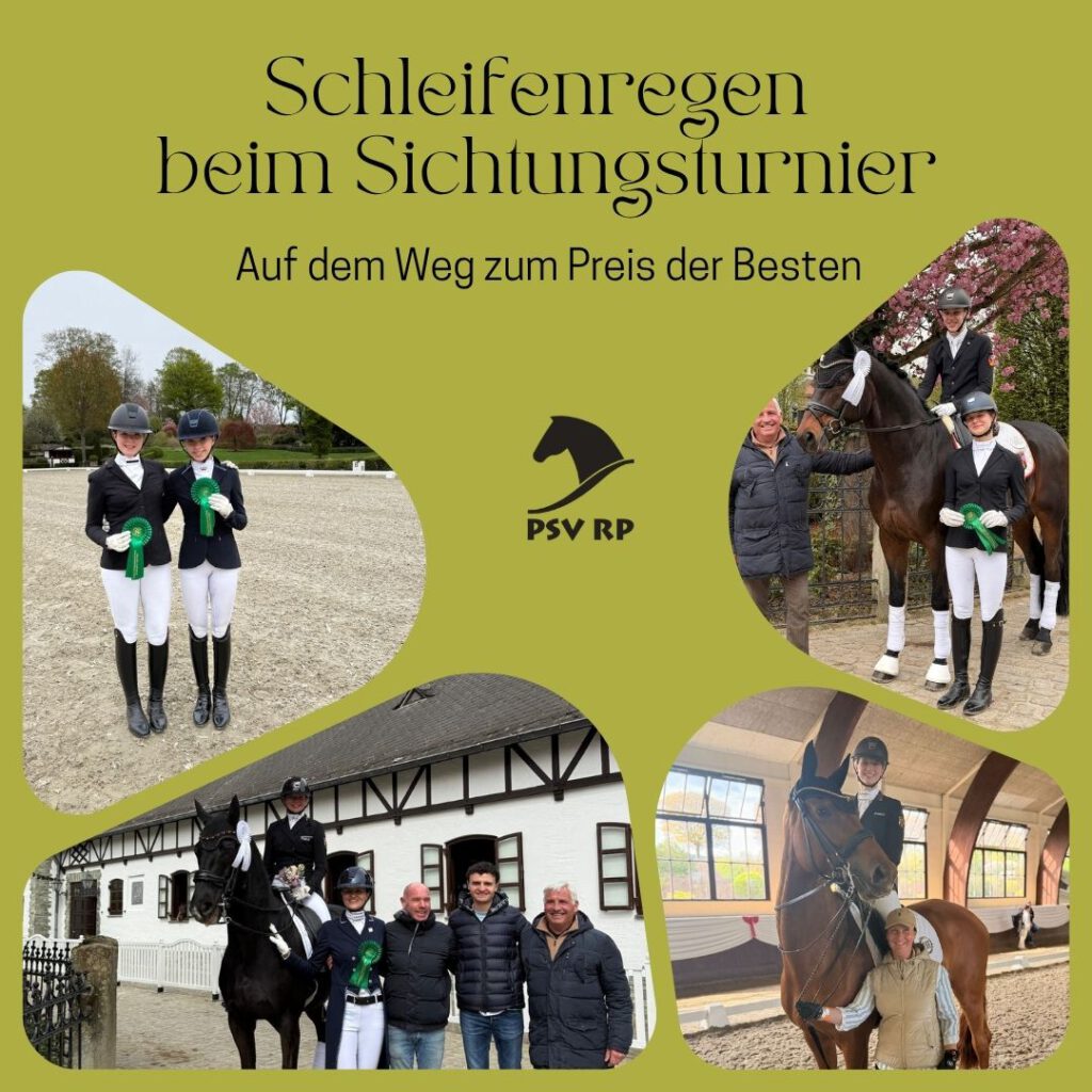 Schleifenregen beim Sichtungsturnier