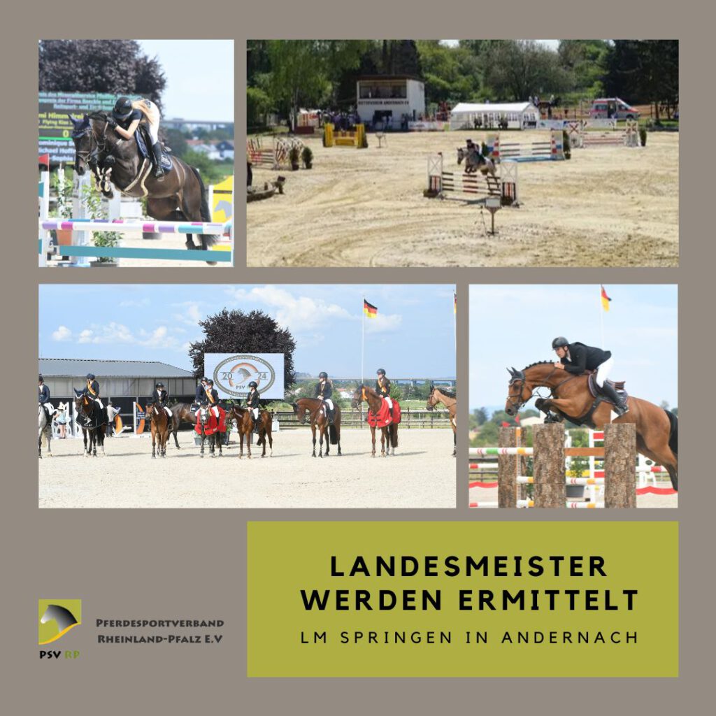 LM Springen in Andernach