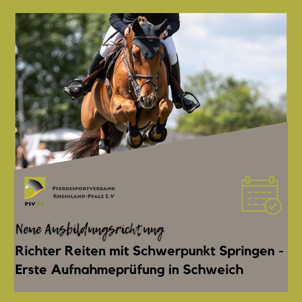 Neue Ausbildungsrichtung