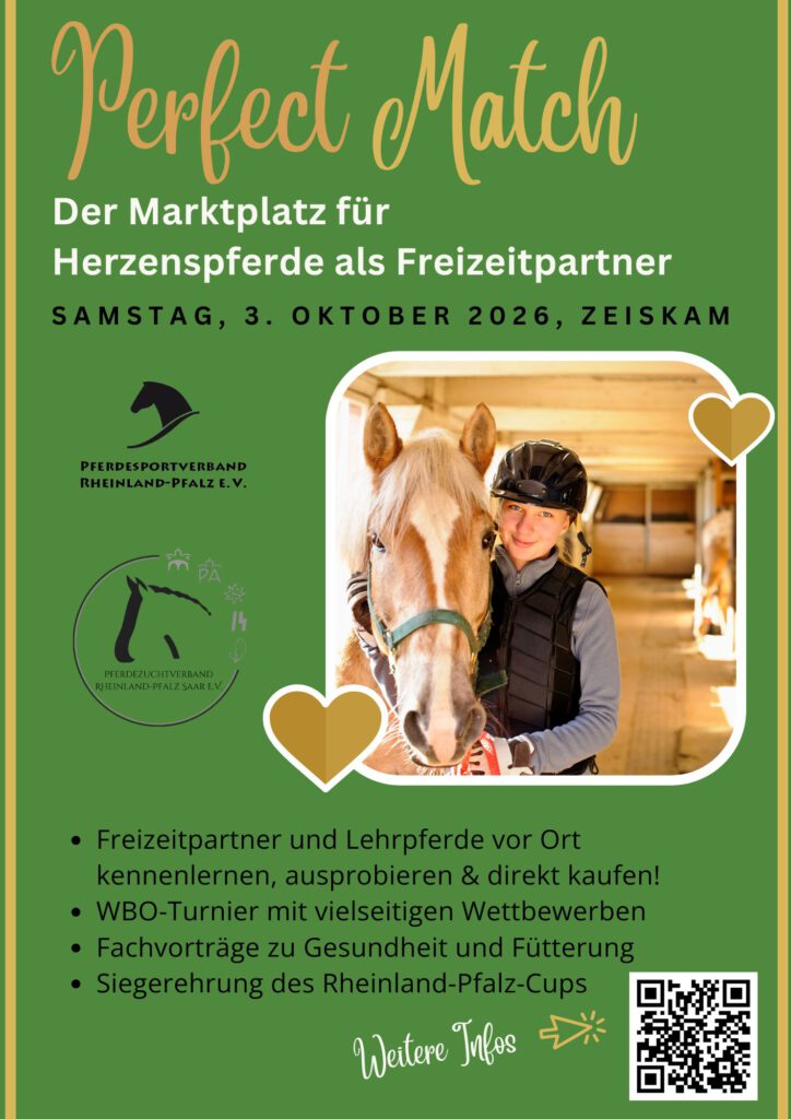 Herzenspferde