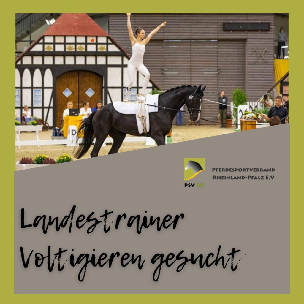 Landestrainer Voltigieren gesucht